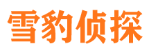 海伦市婚姻出轨调查